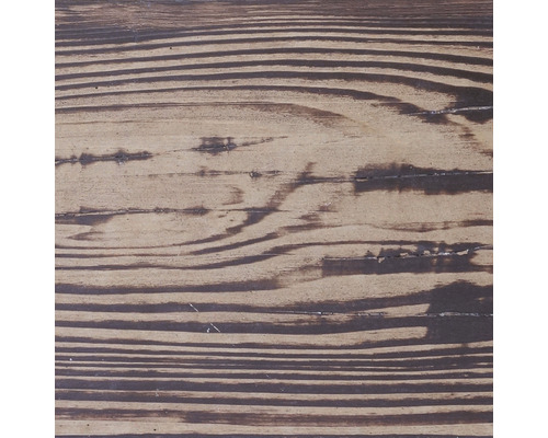 Detailný pohľad na štruktúru dreva