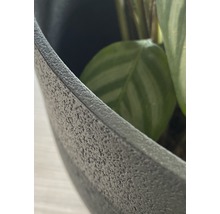 Detailný pohľad na kvetináč s rastlinou