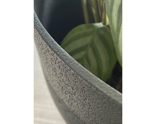 Detailný pohľad na kvetináč s rastlinou