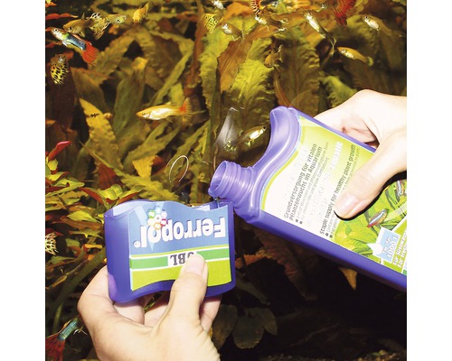 Akvárium s gupkami a pridanie hnojiva pre rastliny JBL Ferropol