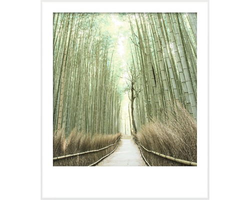 Zarámovaný obraz cesty bambusovým lesom