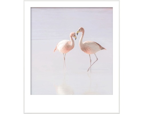 Zarámovaný obrázok dvoch plameniakov