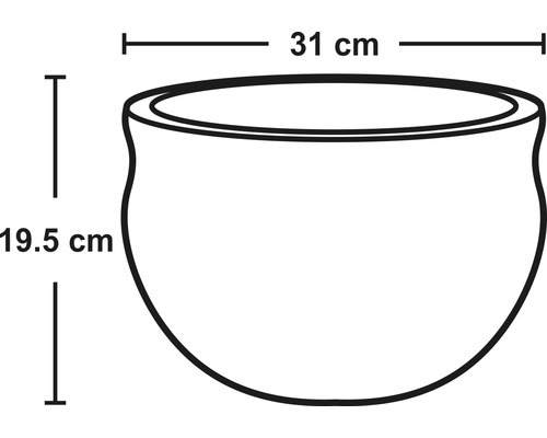 Obrázok kvetináča s rozmermi 31 centimetrov šírky a 19,5 centimetrov výšky.