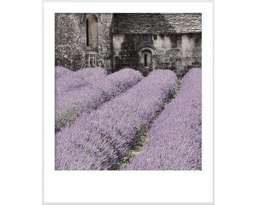Zarámovaný obraz levanduľového poľa pred kamennou budovou