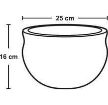Nákres kvetináča s rozmermi 25 cm šírky a 16 cm výšky.