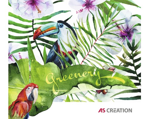 Tapeta s tropickým vzorom, s tukanom a papagájom