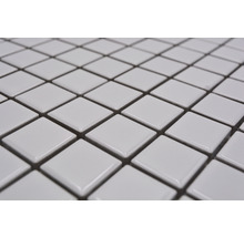 Keramická mozaika CG 104 biela, lesklá 30 x 30 cm