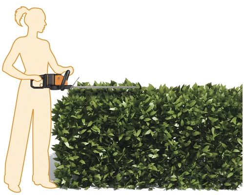 Žena strihá živý plot pomocou nožníc na živý plot.