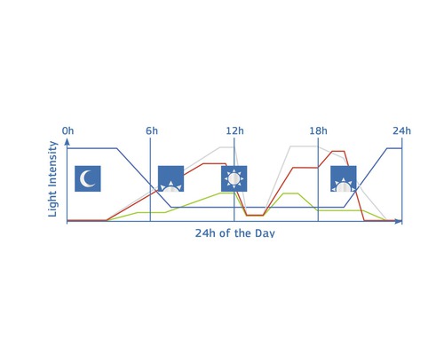 Graf znázorňujúci intenzitu svetla počas 24 hodín
