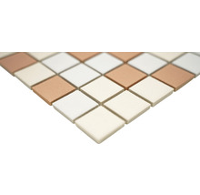 Keramická mozaika AT 601 béžová/biela/teratova mix 30,2 x 33 cm-thumb-1