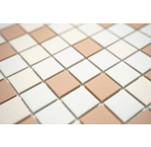 Keramická mozaika AT 601 béžová/biela/teratova mix 30,2 x 33 cm-thumb-3