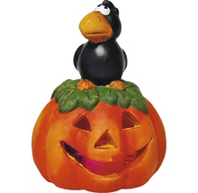Halloweenska dekorácia: tekvica s havranom