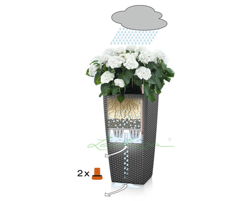 Ilustrácia kvetináča so zavlažovacím systémom a bielymi hortenziami.