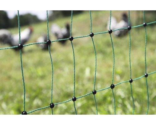 Hydinová sieť s kurčatami v pozadí