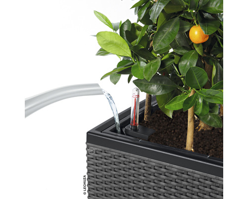 Zavlažovací systém pre kvetináče s ukazovateľom hladiny vody a rastlinou