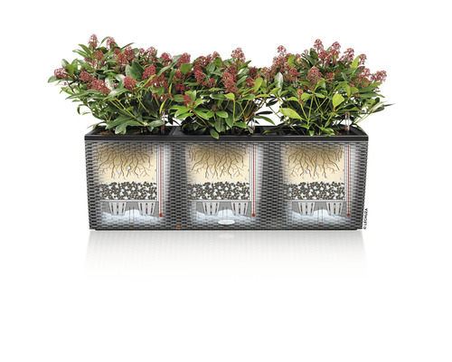 Balkónový kvetináč s rastlinami a zavlažovacím systémom