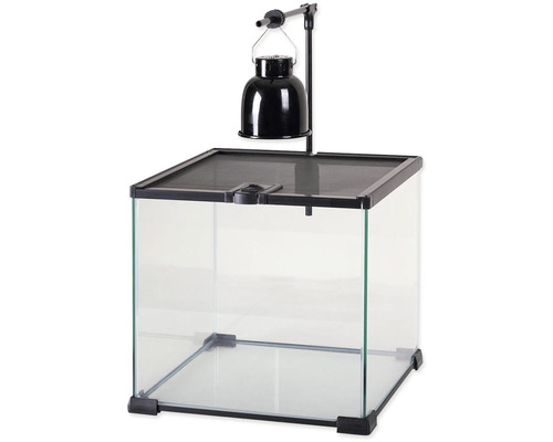 Sklenené terárium s lampou