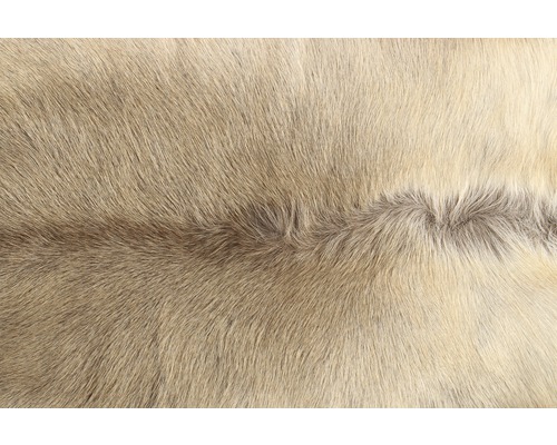 Detail svetlej sobej kože.