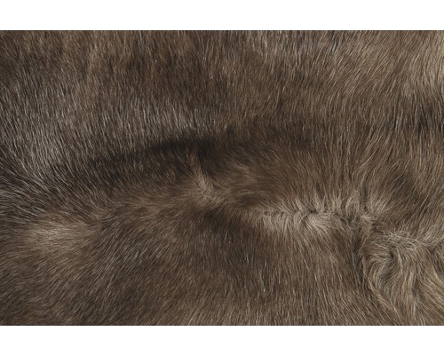 Detailný záber zvieracej kože pre bytový textil