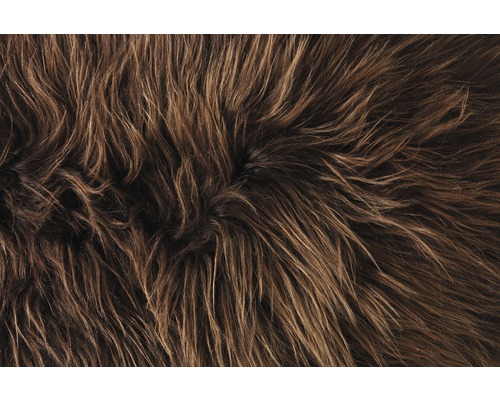 Detail koberca s dlhými vláknami