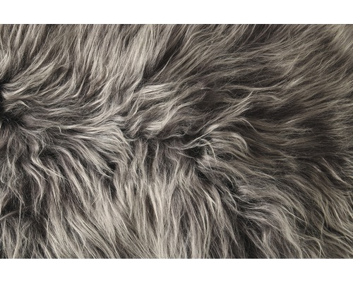 Detailný záber koberca s dlhým vlasom