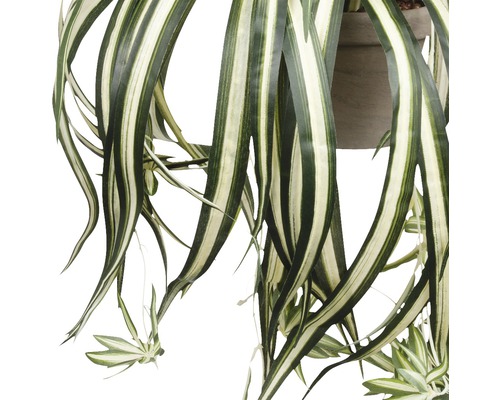 Detailný záber umelej zelenej ľalie s pruhovanými listami v kvetináči