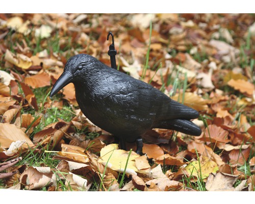 Dekoratívny havran do záhrady na lístie