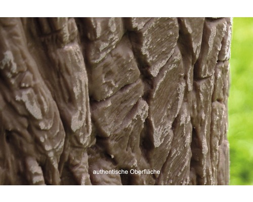 Detailný záber štruktúry kôry stromu