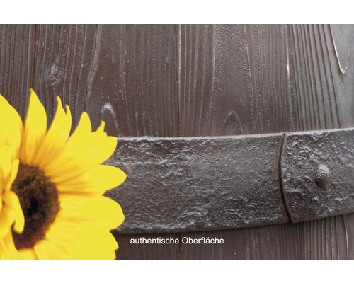 Detailný záber suda s kovovou obručou a slnečnicou