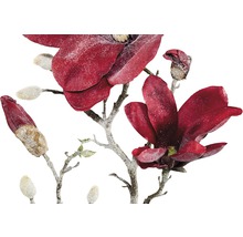 Dekoratívna vetva magnólie s kvetmi a púčikmi