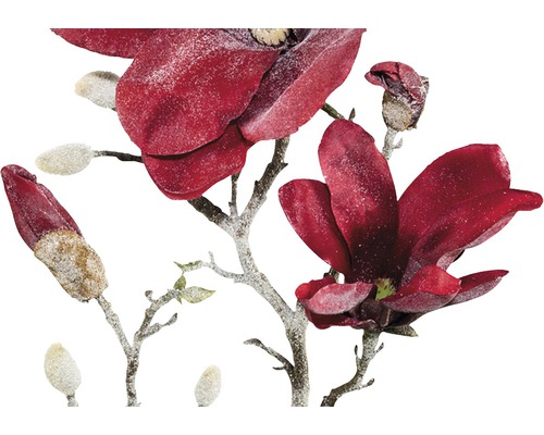 Dekoratívna vetva magnólie s kvetmi a púčikmi