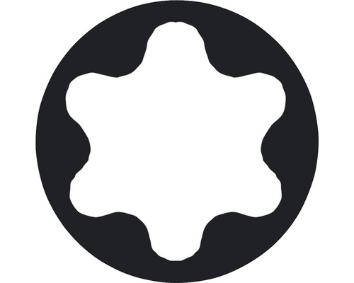 Profil skrutky Torx