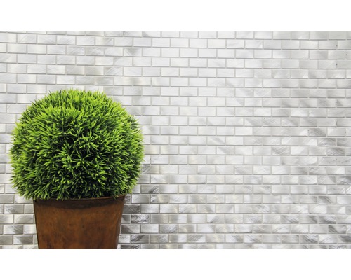 Dekoratívna zelená rastlina v kvetináči pred stenou s kovovými mozaikovými dlaždicami