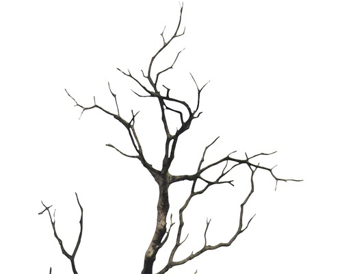 Dekoratívna, holá vetva stromu pre interiér