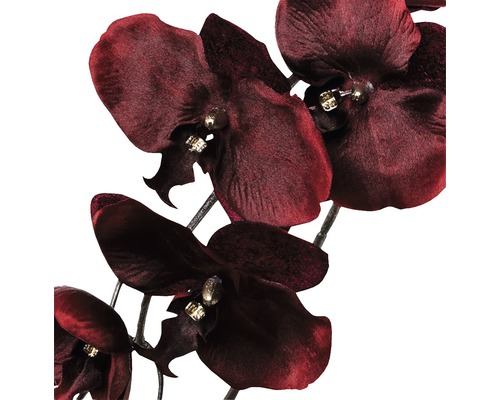 Umelé kvety orchideí