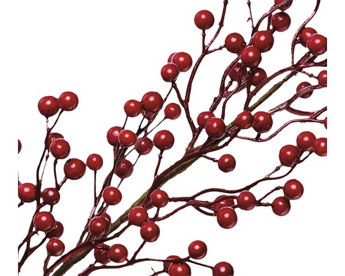 Dekoratívne vetvy s červenými bobuľami