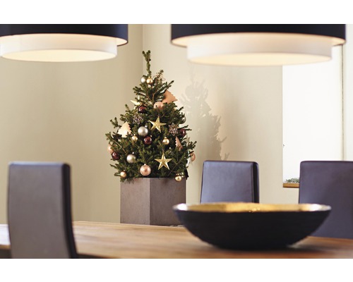 Vianočná dekorácia s vianočným stromčekom na jedálenskom stole