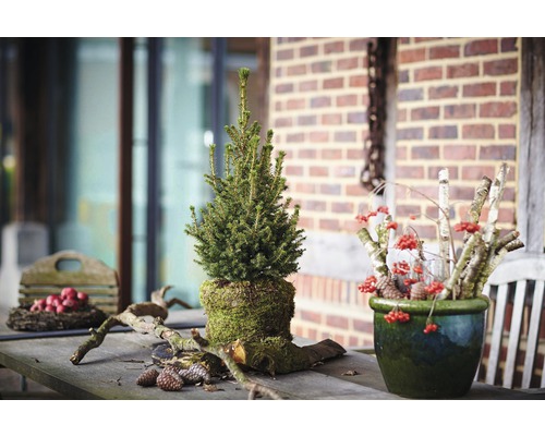 Dekoratívne aranžmán so smrekom, bobuľami a drevom na stole