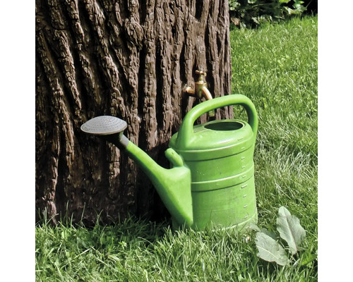 Zelená kanva vedľa stromu s kohútikom