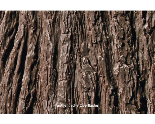 Detailný záber povrchu so štruktúrou kôry stromu