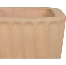 Detailný pohľad na kvetináč