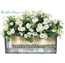 Ilustrovaný kvetináč so zavlažovacím systémom a bielymi kvetmi