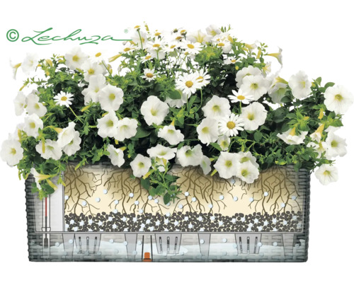 Ilustrovaný kvetináč so zavlažovacím systémom a bielymi kvetmi