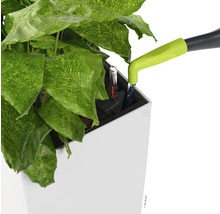 Zalievanie rastliny v kvetináči so zavlažovacím systémom a ukazovateľom hladiny vody