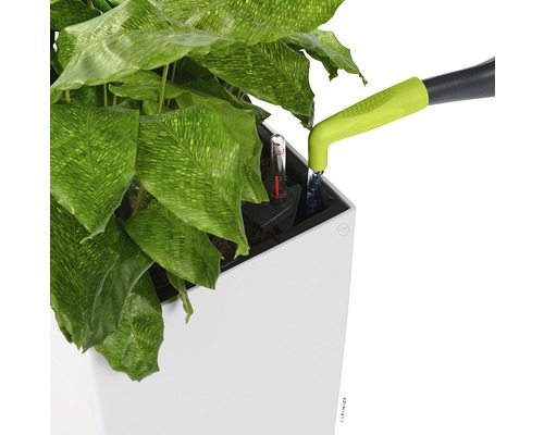 Zalievanie rastliny v kvetináči so zavlažovacím systémom a ukazovateľom hladiny vody