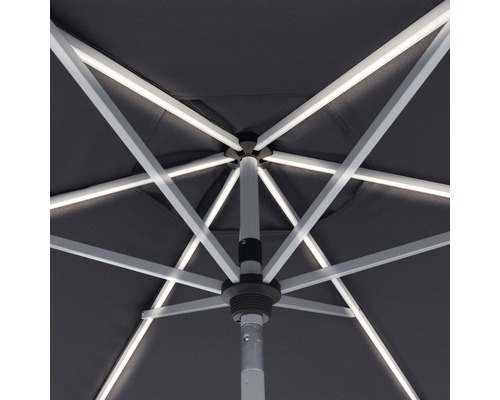 Pohľad zdola na slnečník so svetlým rámom