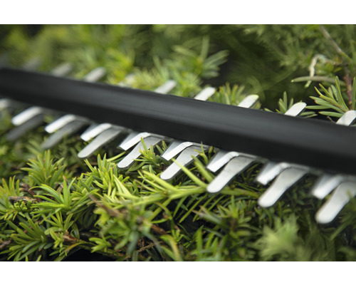 Detailný záber nožov nožníc na živý plot strihajúcich zeleň.