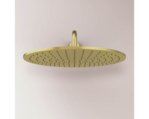 Zlatá hlavová sprcha