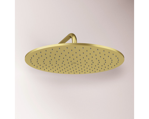 Zlatá dažďová sprcha do kúpeľne