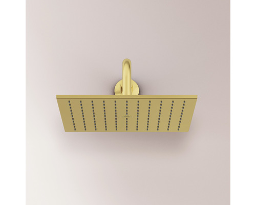 Obdĺžniková sprchová hlavica na montáž na strop